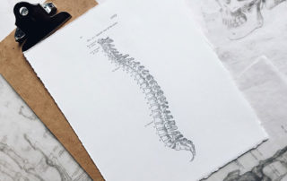 Pencil sketch of a spine representing degenerative disc disease